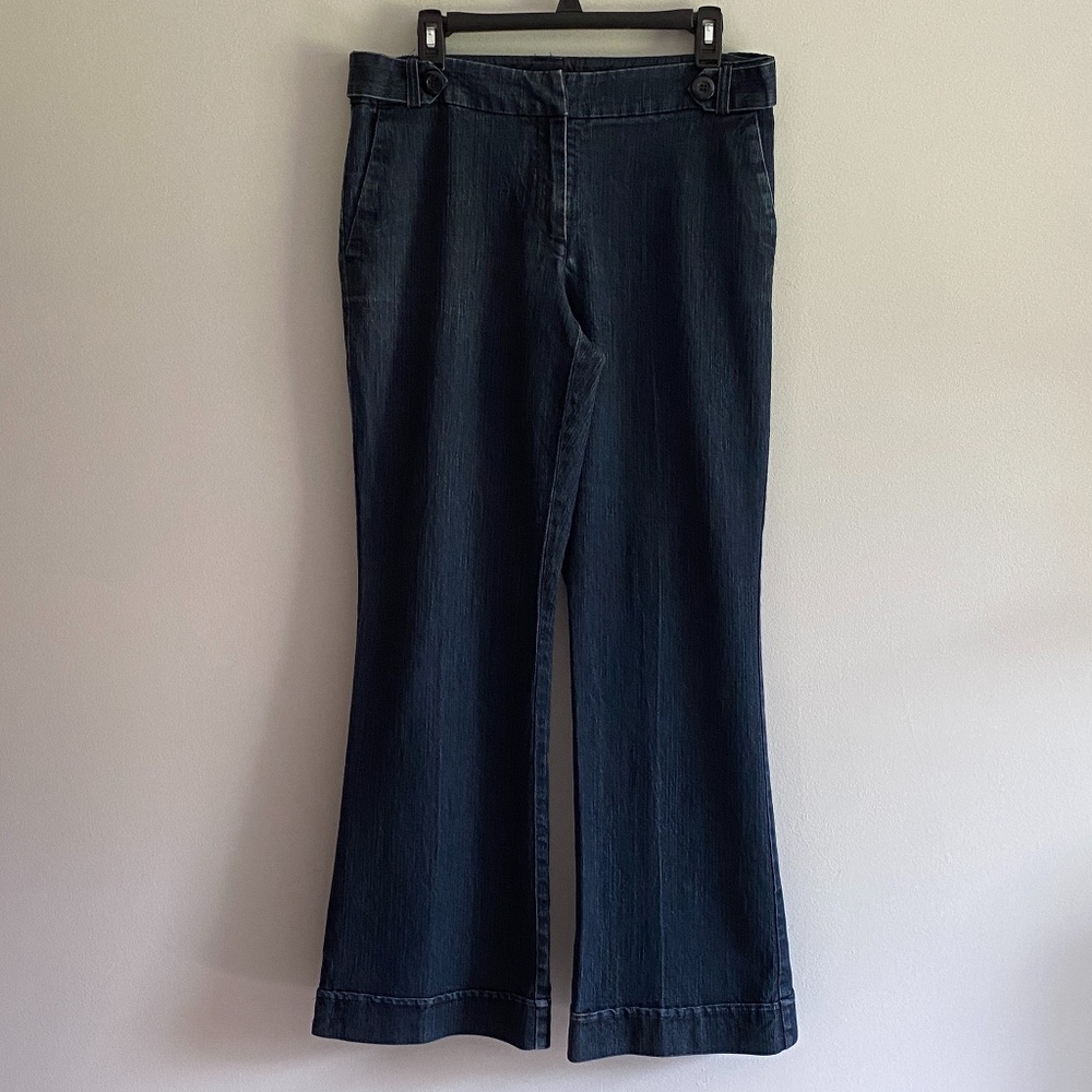 Dalia Collection Size 10 Dressy Flare Stretch Jeans